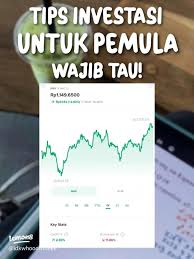 Finance for Beginner Cara Mulai Investasi Tanpa Takut Rugi